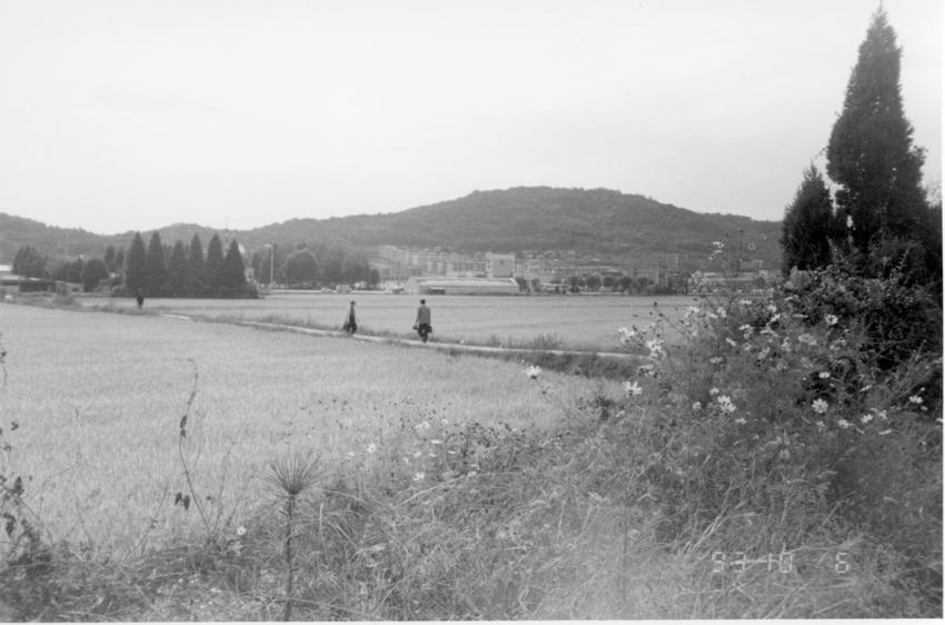 경기도사진첩(1) - 029인화사진, 경기도김포군, 001 이미지