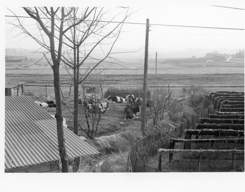 경기도사진첩(1) - 029인화사진, 경기도김포군, 002 이미지