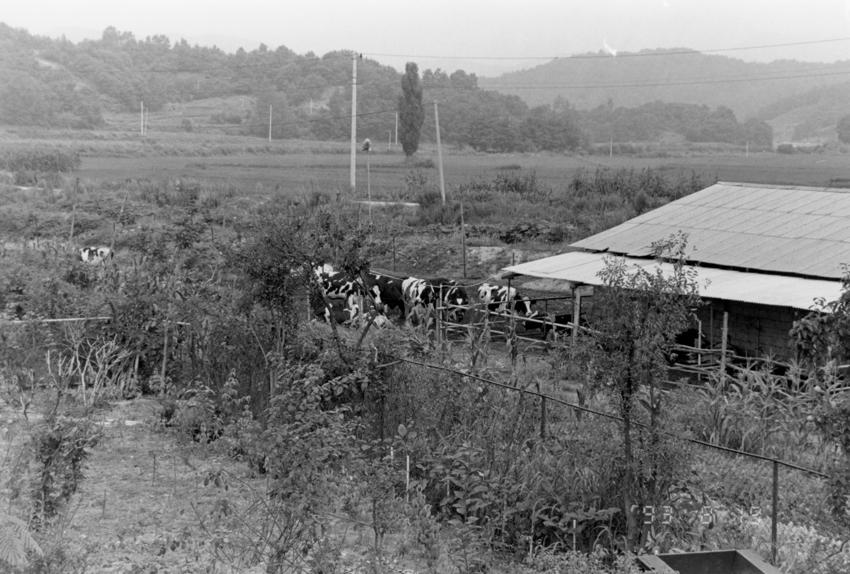 경기도사진첩(1) - 042인화사진, 경기도안성군, 002 이미지