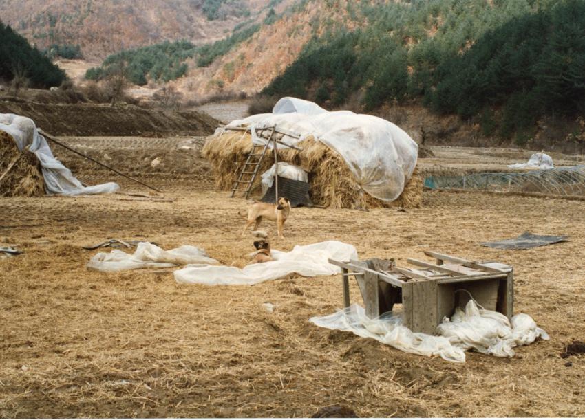 경기도사진첩(1) - 054인화사진, 경기도양양군, 003 이미지