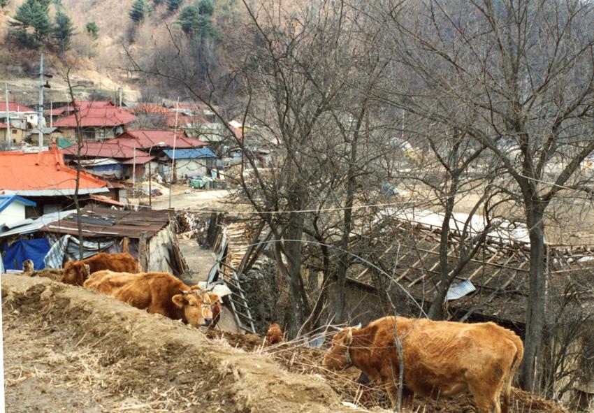 경기도사진첩(1) - 055인화사진, 경기도양양군, 002 이미지