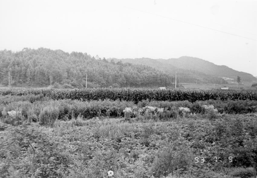 경기도사진첩(1) - 061인화사진, 경기도여주군, 002 이미지