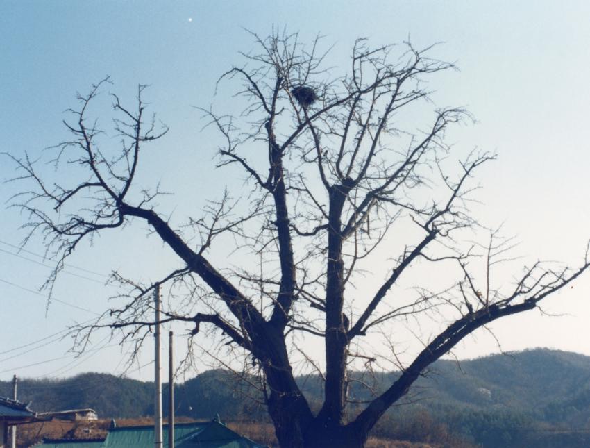 대표 이미지