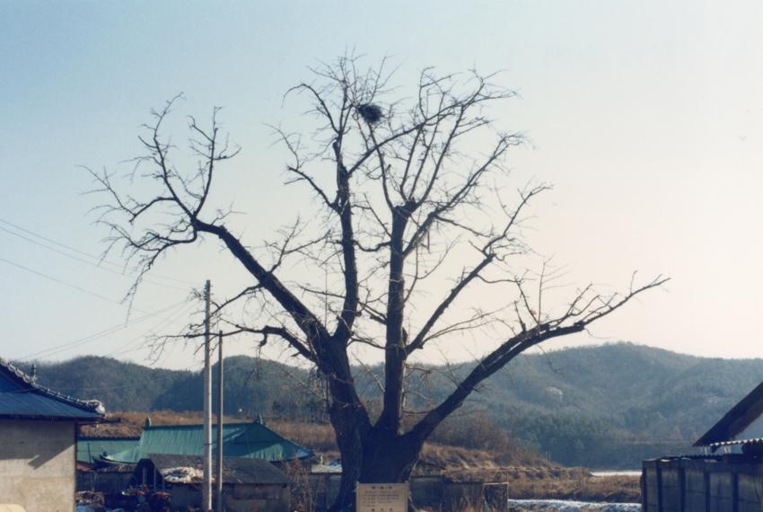 경기도사진첩(1) - 097인화사진, 경기도용인군, 003 이미지