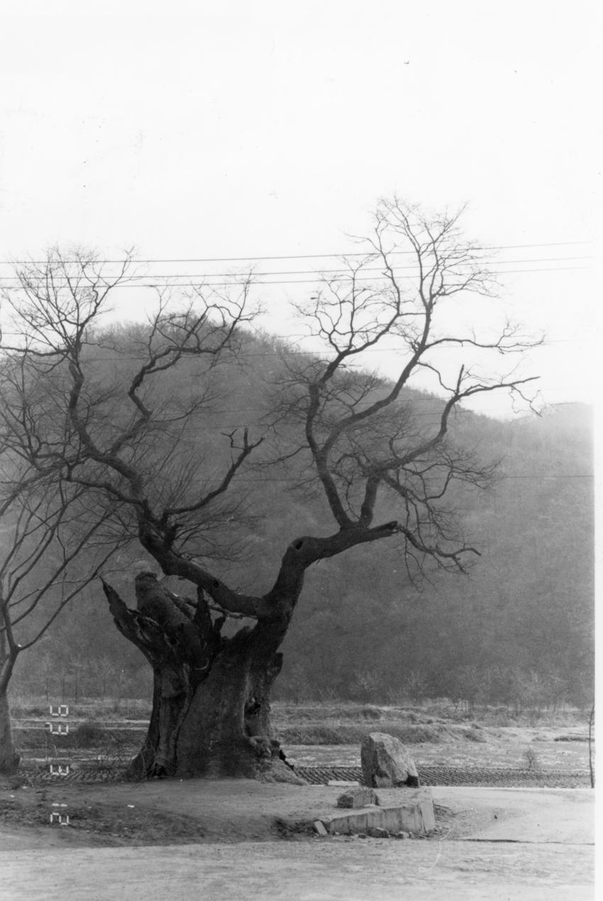 경기도사진첩(2) - 030인화사진, 경기도, 001 이미지