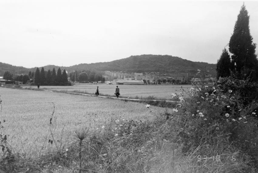 경기도사진첩(2) - 065인화사진, 경기도김포군, 002 이미지