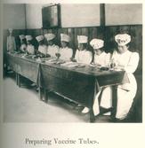 두묘 생산을 위한 백신관 준비